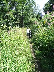 DSCF7515.JPG DSCF7515.JPG