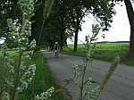 DSCF7659.JPG DSCF7659.JPG
